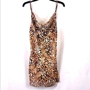 Planet blue blue life 🔥dress mini animal print Size S NWOT